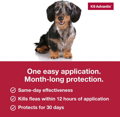 Authentic Elanco K9 Advantix flea control for miniature wirehaired dachshunds