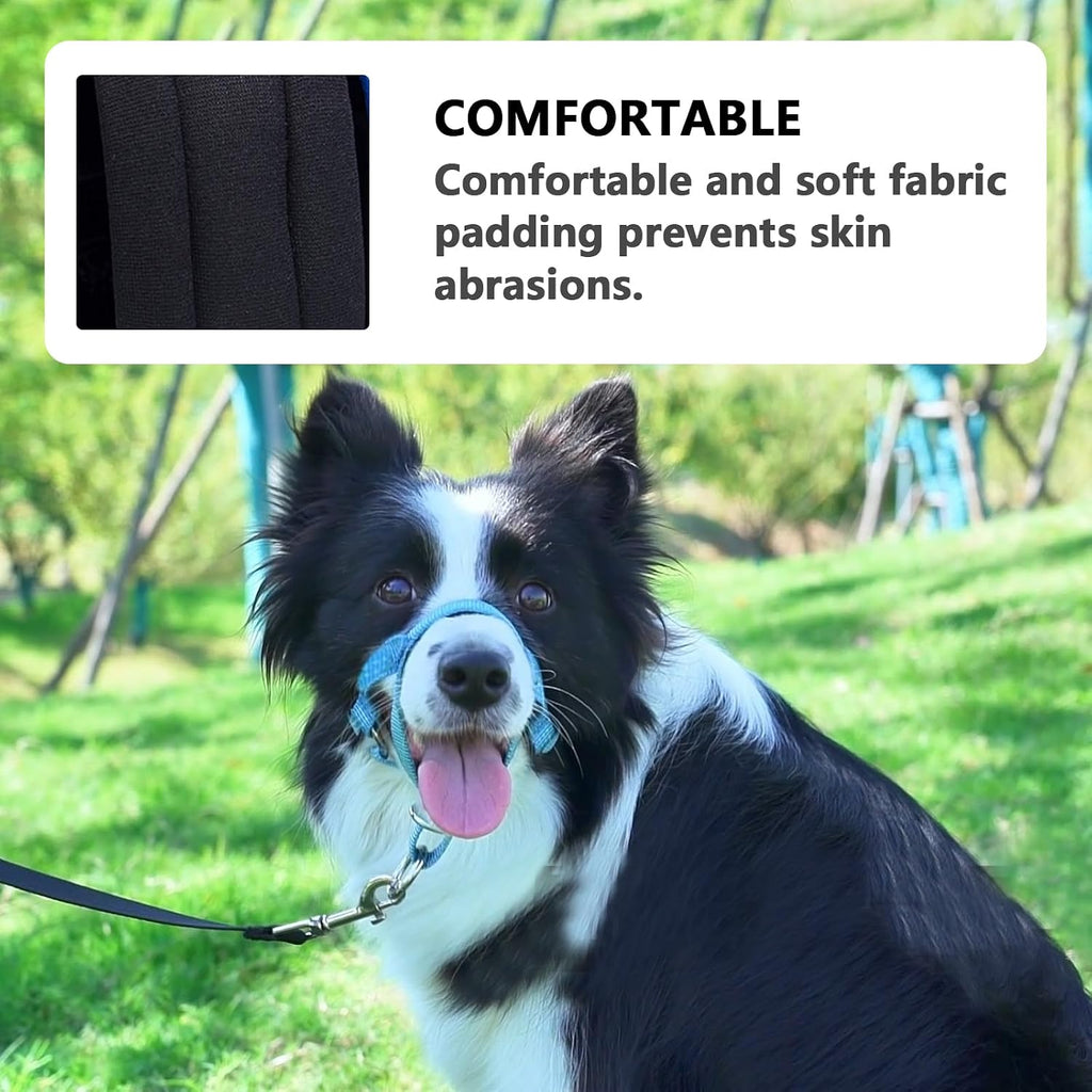 Adjustable buckle detail on Wintchuk silk thread dog halter