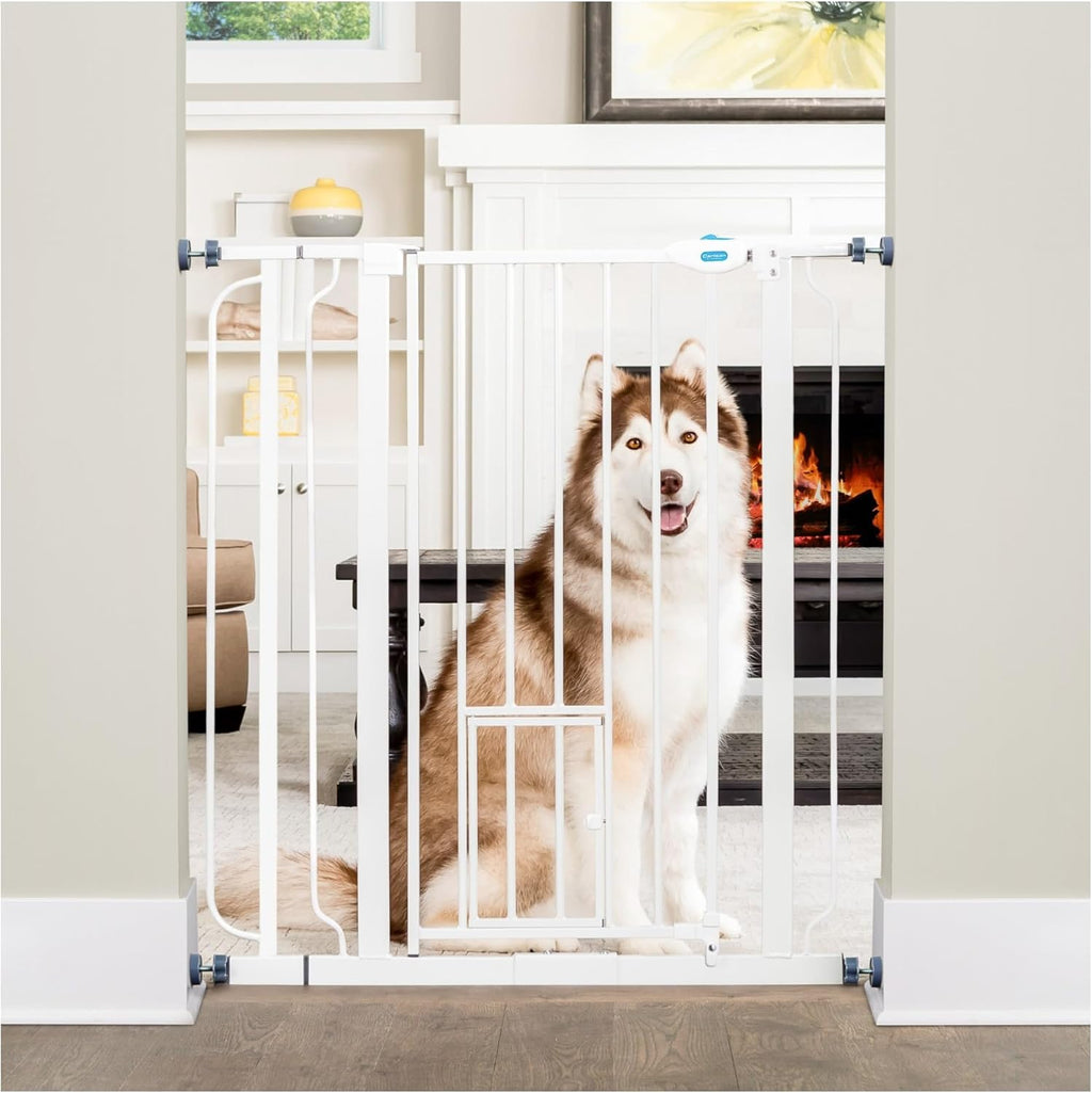 Carlson pet products steel extra tall pet gate front view safety gate