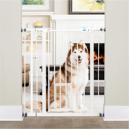 Carlson Pet Products extra tall walk through dog gate front view in a white hallway.