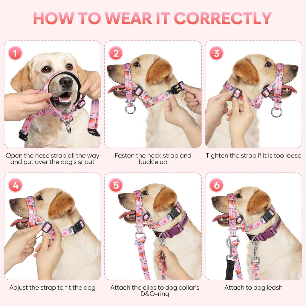 Ezierfy dog head collar quick release buckle detail