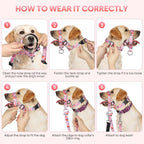 Ezierfy dog head collar quick release buckle detail