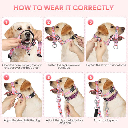 Ezierfy dog head collar quick release buckle detail