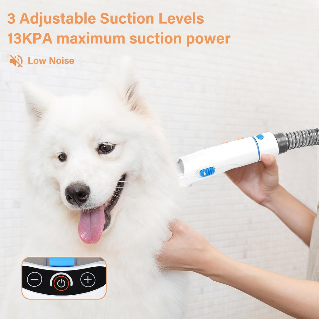 The low-noise Petmolico pet vacuum grooming system being used gently on a calm dog at home.