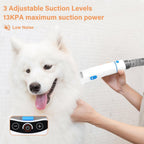 The low-noise Petmolico pet vacuum grooming system being used gently on a calm dog at home.