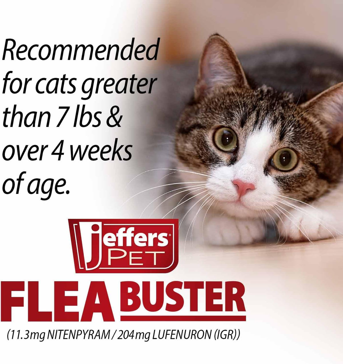 Flea Buster chewable pills for cats 7 to 15 pounds directions