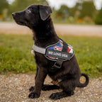 Doggykingdom blue safety harness side profile showing hook and loop panel