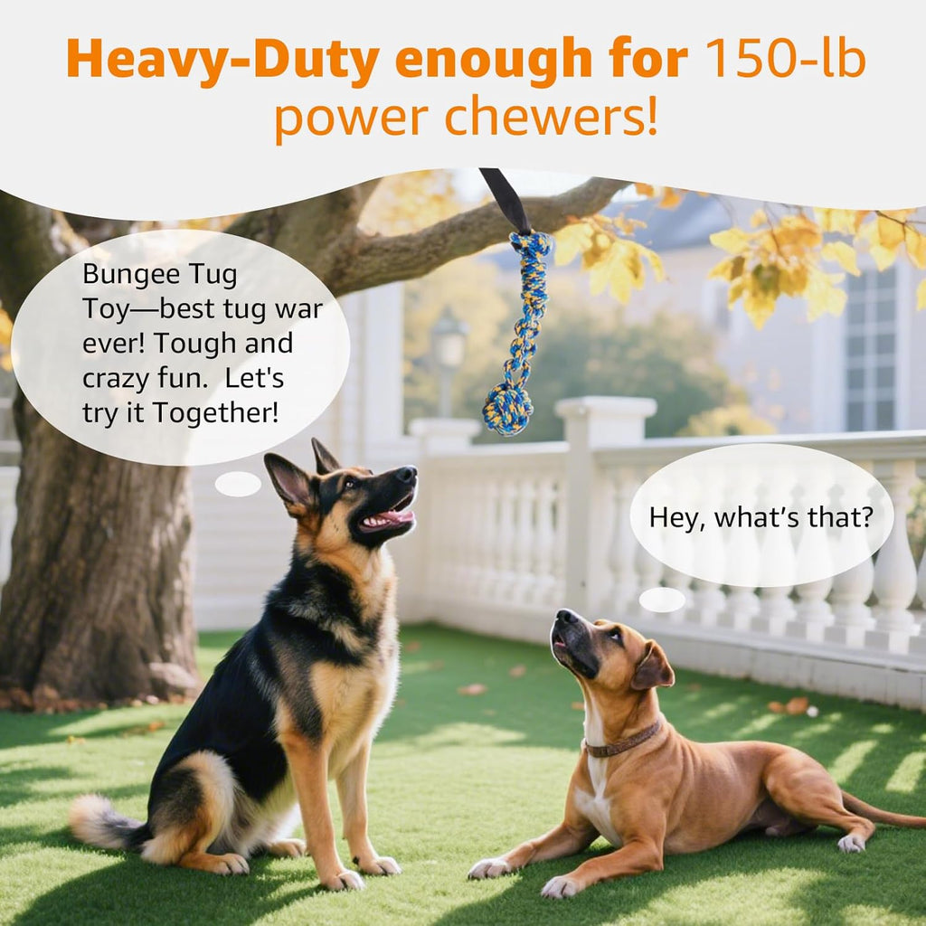 LOOBANI outdoor exercise play cord with replaceable braided chew rope toy