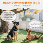 LOOBANI outdoor exercise play cord with replaceable braided chew rope toy