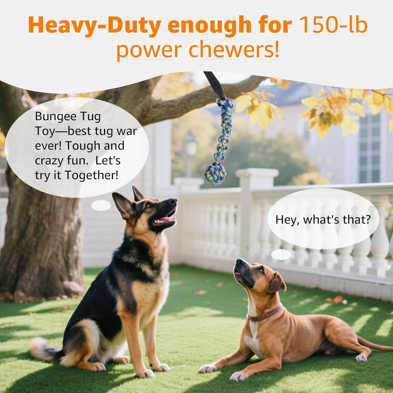 LOOBANI outdoor exercise play cord with replaceable braided chew rope toy