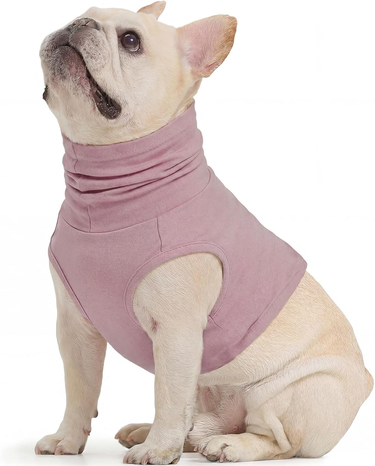 Rozkitch size small dog neck surgical cover