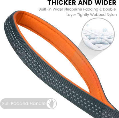 PuppyDoggy dog leash for small to medium dogs showing three rows of reflective safety stitching.