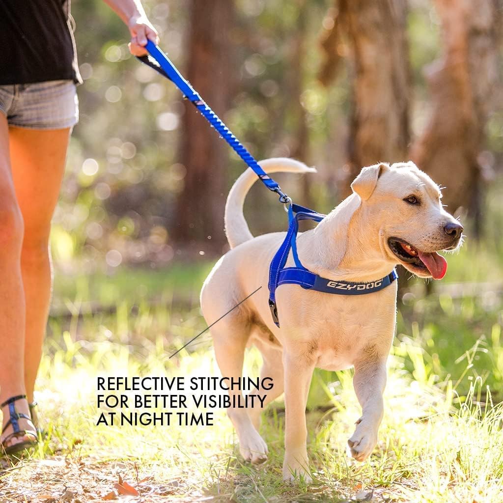EzyDog training harness stainless steel leash attachment ring