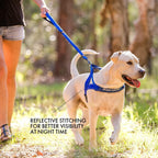 EzyDog training harness stainless steel leash attachment ring