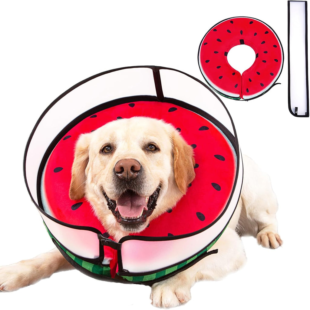 Mariyago inflatable dog cone collar watermelon large front view on a golden retriever