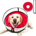 Mariyago inflatable dog cone collar watermelon large front view on a golden retriever