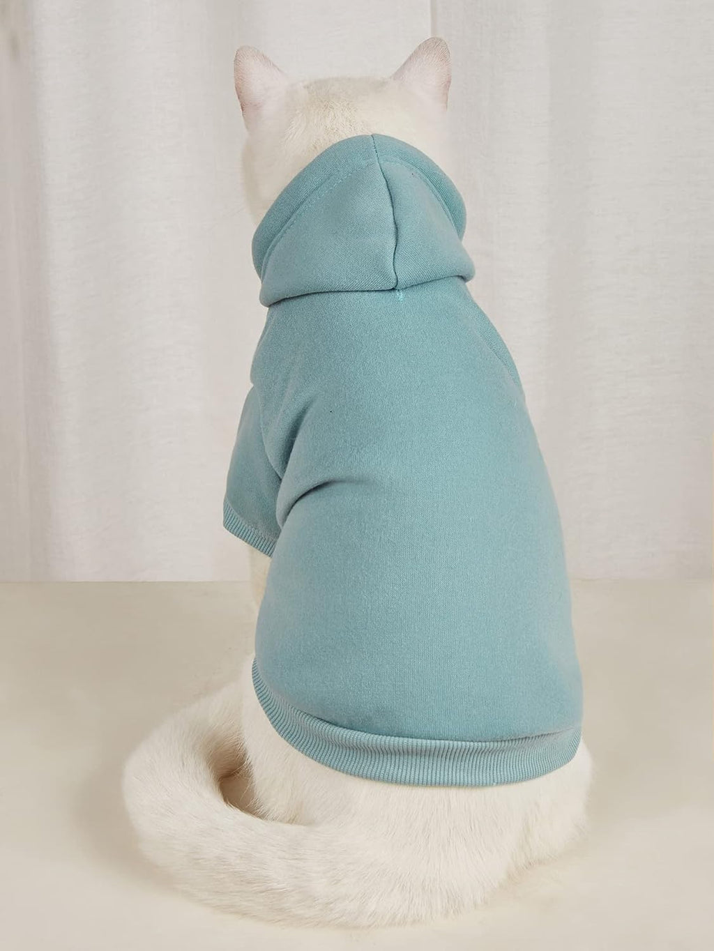 QWINEE warm puppy sweatshirt showing the white drawstring details