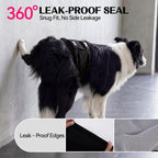 DENTRUN leak proof elastic edges on male dog physiological pants