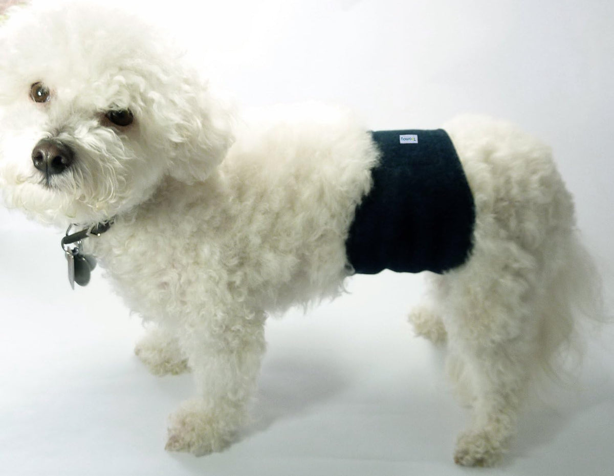 Packaging view of Teamoy imported authentic dog diapers on a plain background