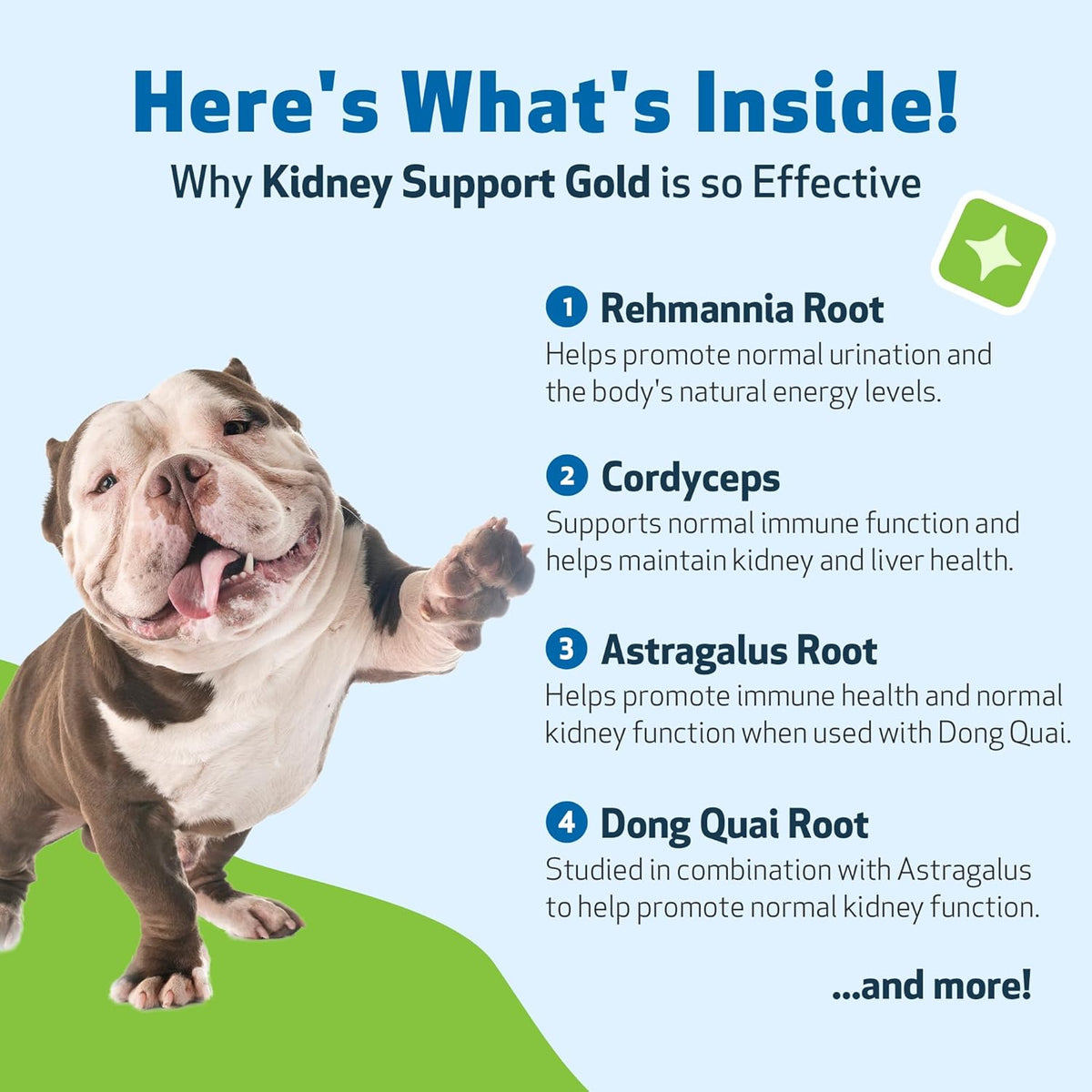USA imported herbal kidney support formula for dogs showing ingredients label