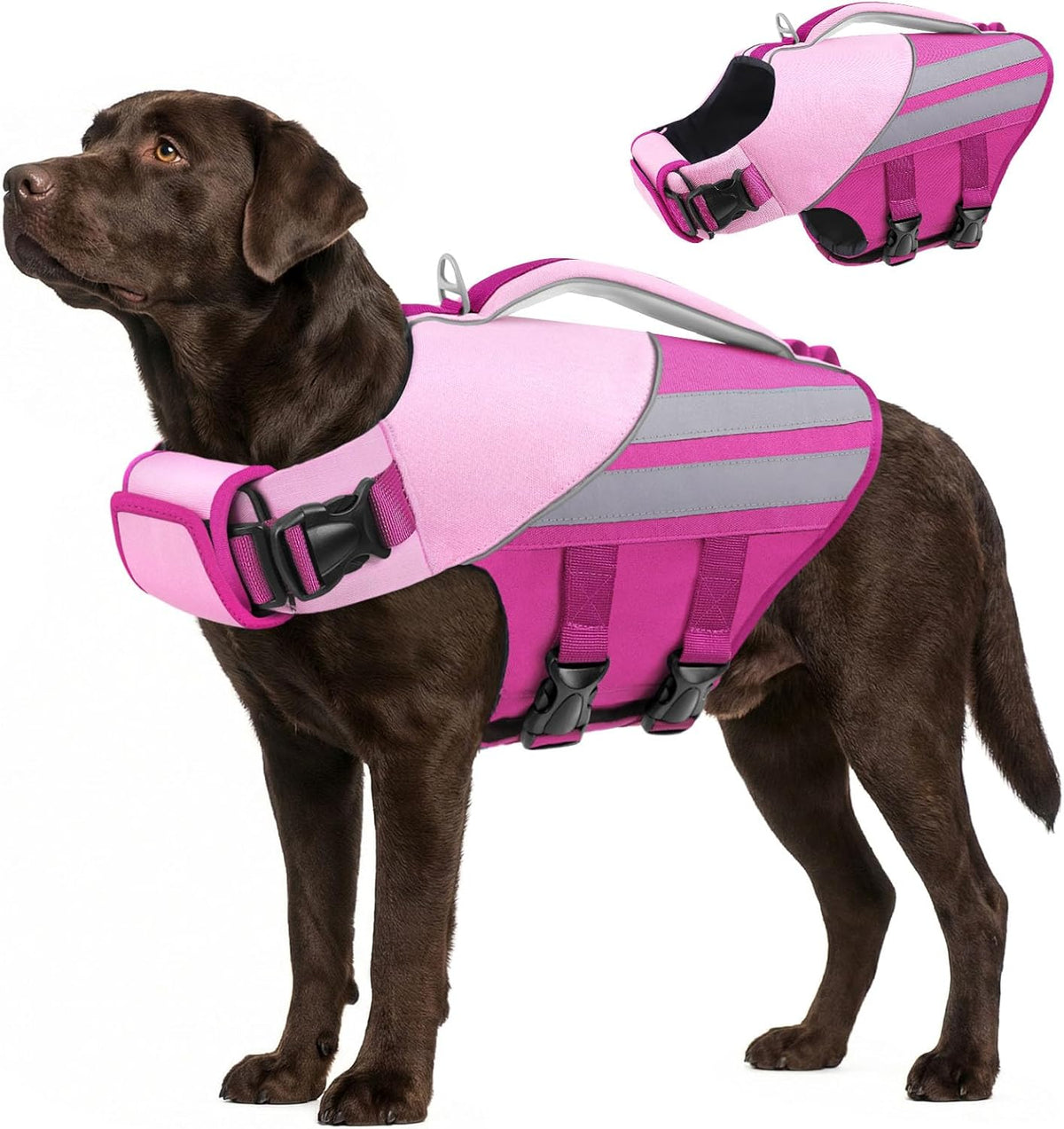Queenmore Dog Life Jacket for Large Dogs, Lightweight High Flotation Dog Life Vest for Boating, Adjustable Pet Swimming Vest Lifesaver with Rescue Handle for Large Dogs, Rose Pink L - Image 9