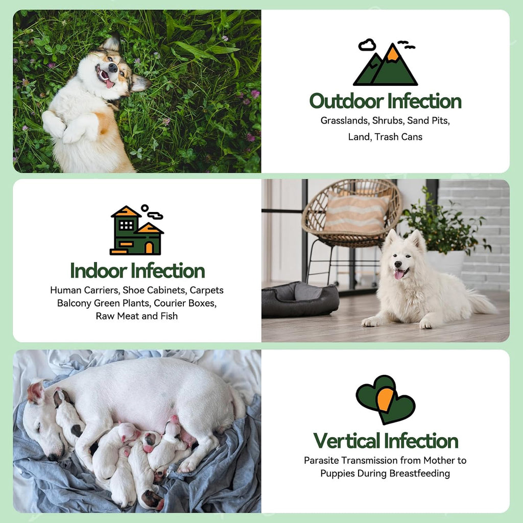 Carmelie Flea and Tick Prevention for Dogs - 200 Chews Natural Dog Flea and Tick Support, Oral Flea Supplement for All Dogs, Supports Healthy Skin & Coat, Puppy Flea Protection - Chicken Flavor - Image 9