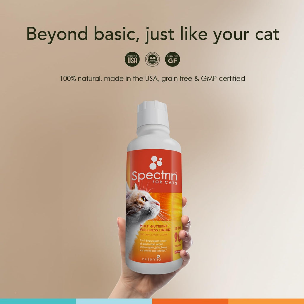 Side profile view of Nusentia Spectrin antioxidant supplement for cats