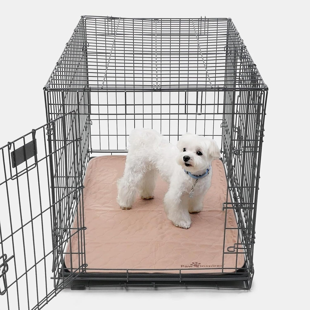 Puppy sitting on Paw Inspired washable training mat