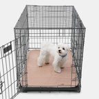 Puppy sitting on Paw Inspired washable training mat