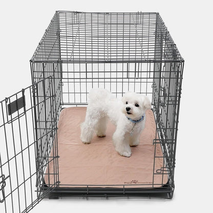 Puppy sitting on Paw Inspired washable training mat