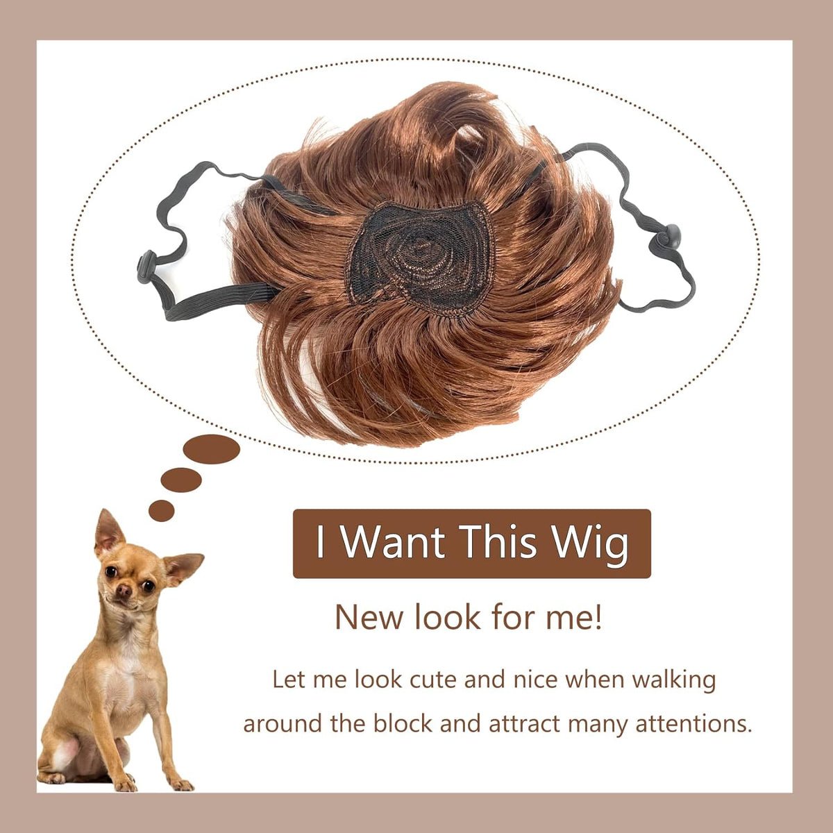 Small dog wearing Mesinurs synthetic lion mane wig