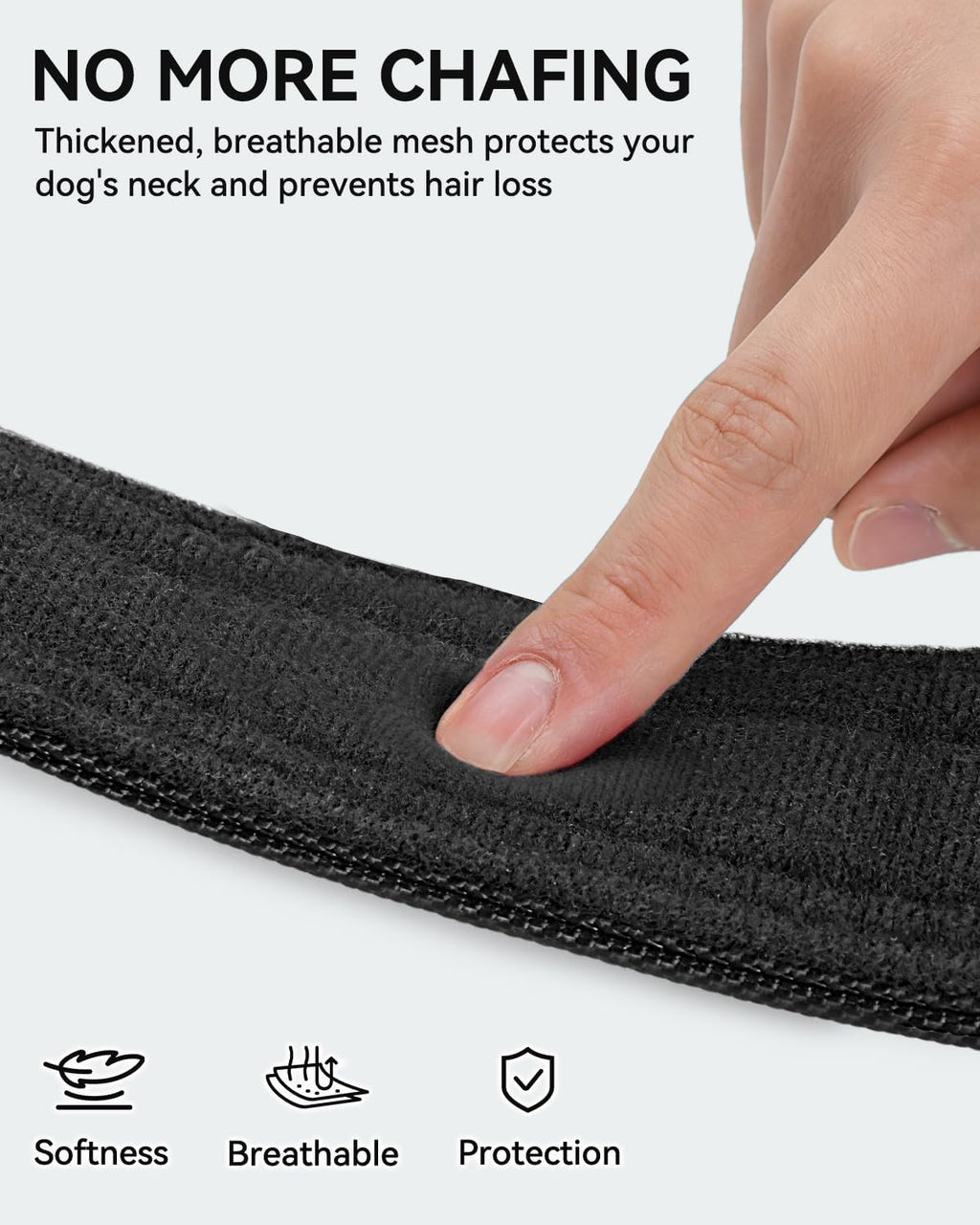 Joytale durable nylon dog collar padded interior