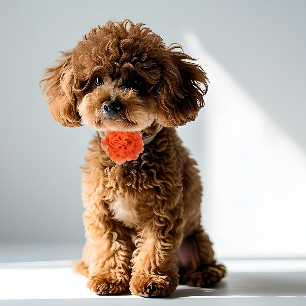 8 Pcs Flower Collar for Dogs 3 inch Colorful Cat Puppy Charms Pet Flower Collars Soft Dog Tie for Dogs Grooming Charms Accessories - Image 3