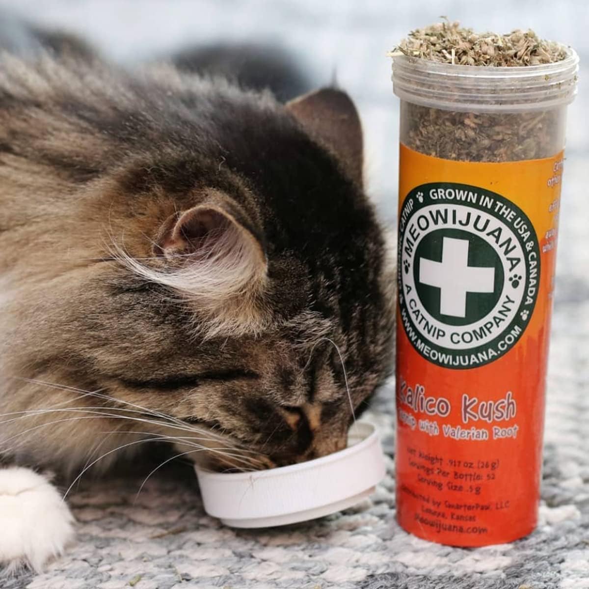 High potency organic catnip bottles for interactive cat toys