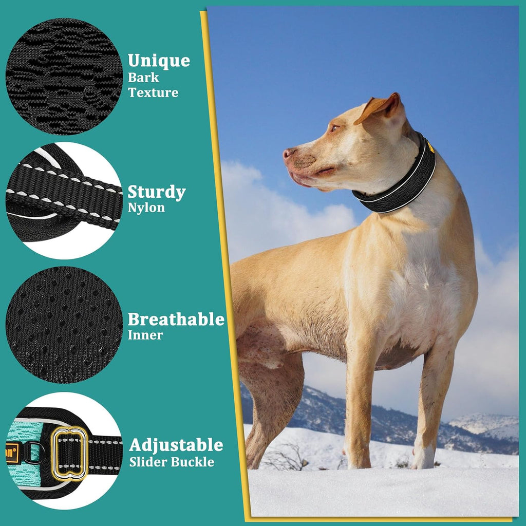 Mayerzon dog training collar showcasing the quick release locking buckle