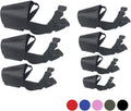JYHY nylon dog muzzle suit seven piece set front view for behavioral training