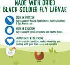 Black soldier fly larvae and grain ingredient view