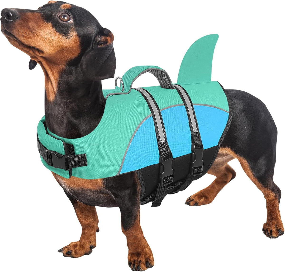 Queenmore Dog Life Jacket Small Dog Life Vest for Swimming Boating in Pool Lake with Shark Fin, Rescue Handle, Leash Hook, Reflective Strip,Light Weight - Image 13