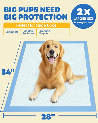 Fifty pack bulk box of imported premium disposable pet pee pads for home hygiene