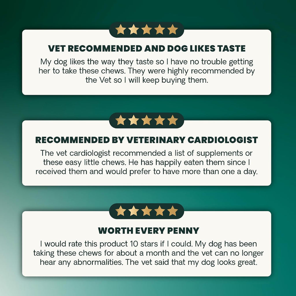 Dog eating VetriScience heart support chew as a treat