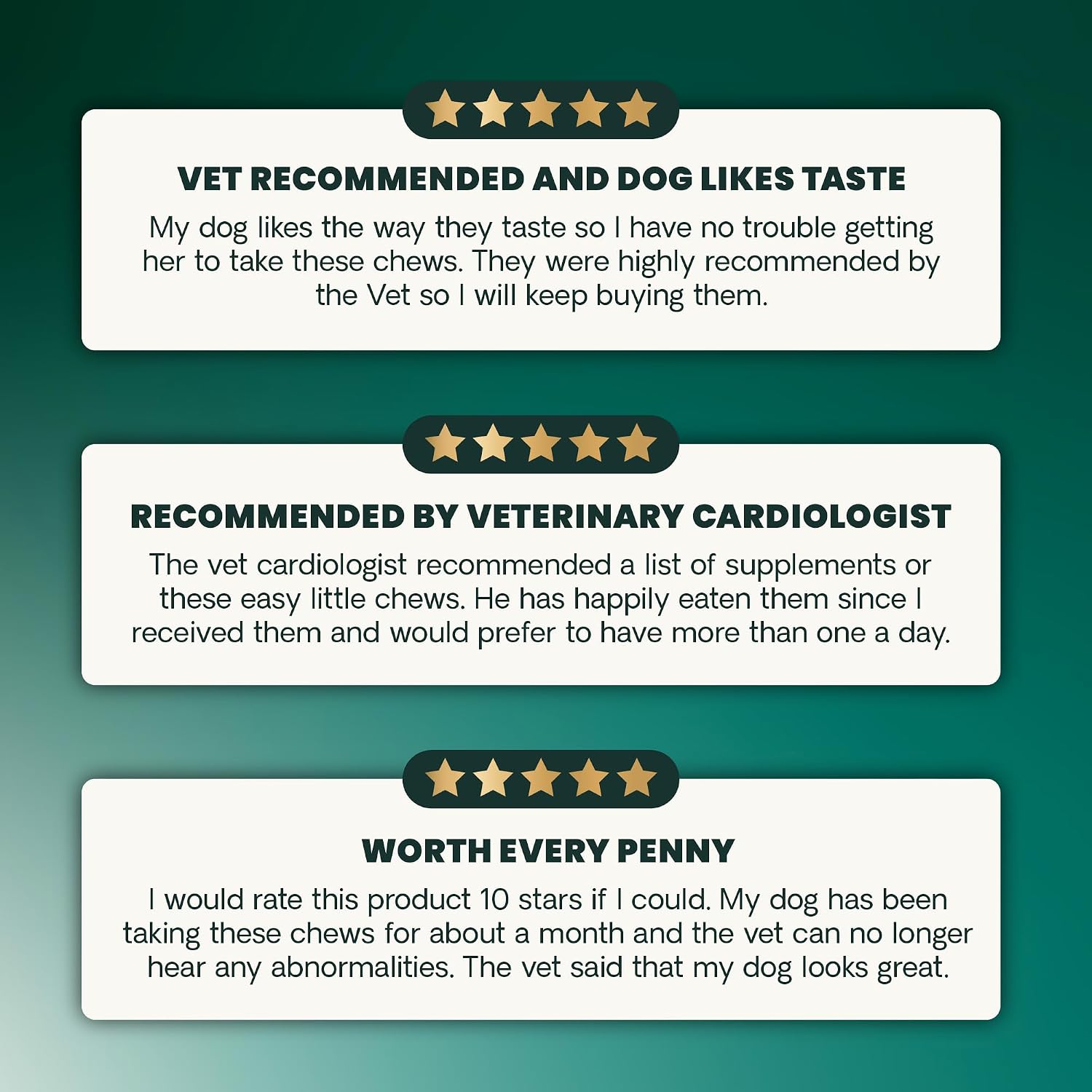 Dog eating VetriScience heart support chew as a treat