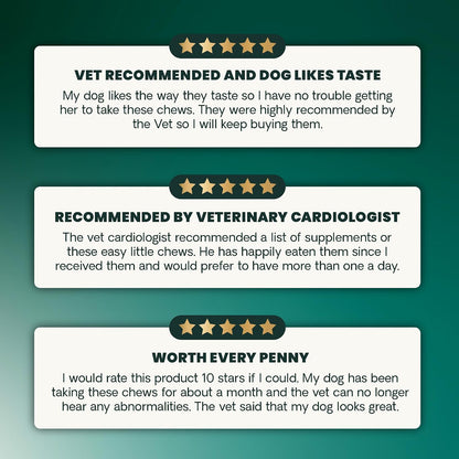 Dog eating VetriScience heart support chew as a treat