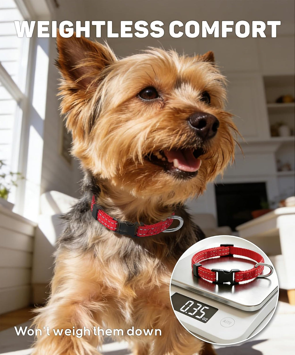Quick-release buckle on TagME nylon pet collar