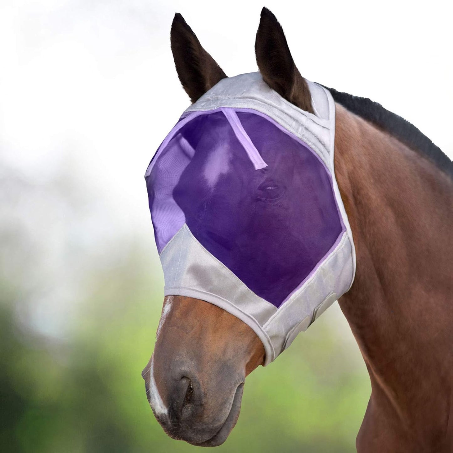 Harrison Howard CareMaster fly mask side profile on horse