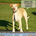 Heavy duty short dog training leash with reinforced metal rivets