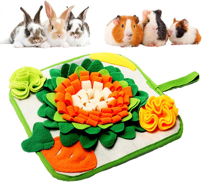 GÃ©nÃ©rique rabbit foraging mat front view green and orange pet snuffle mat