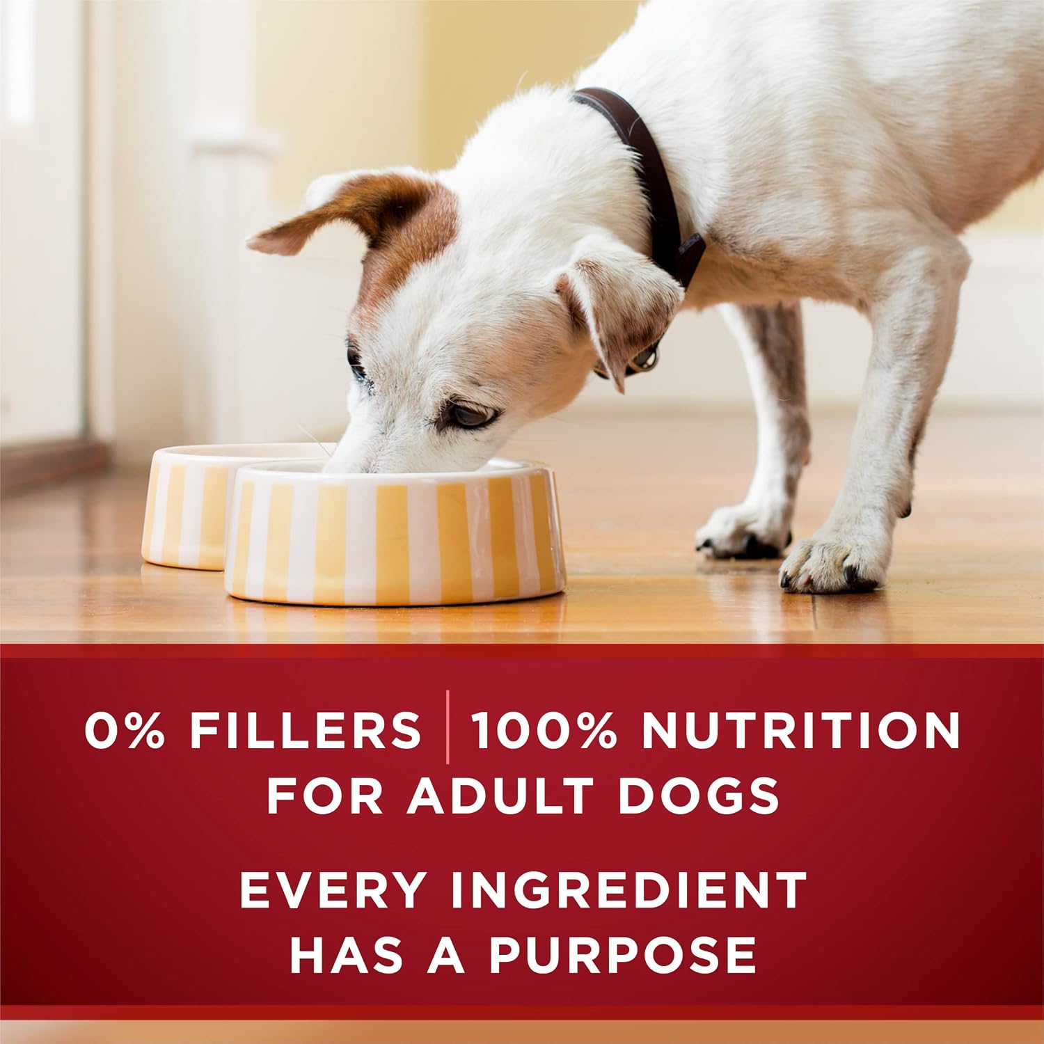 Purina ONE wet dog food nutritional information panel for beef and bison recipe