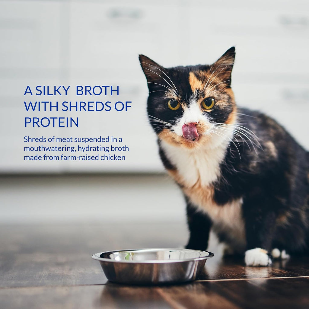 Bowl served with Inaba Churu Broth cat treat