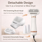 Pet owner using Lumutata steam brush on a dog