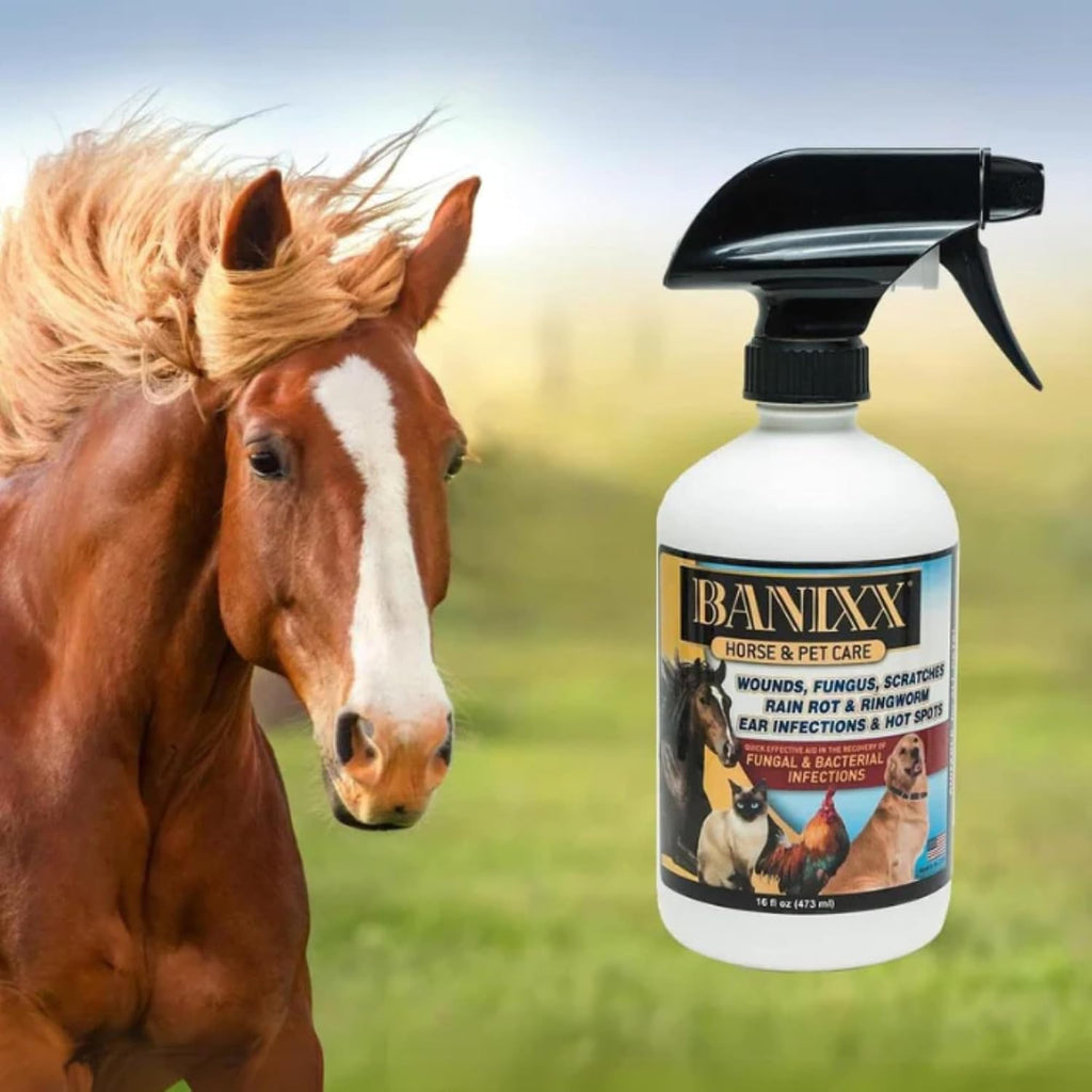 Close up of Banixx branding on 16 fluid ounce spray bottle